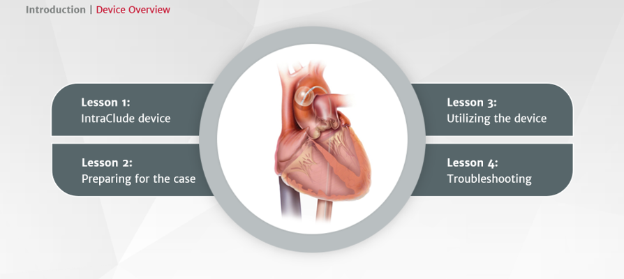IC-elearning1 eLearning module